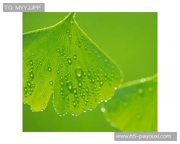 888真人绿色平台-探索888真人绿色平台 您最好的网络游戏伴侣与保驾护航的成长服务提供商！888真人绿色平台